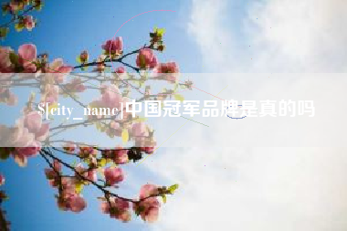 齐河中国冠军品牌是真的吗