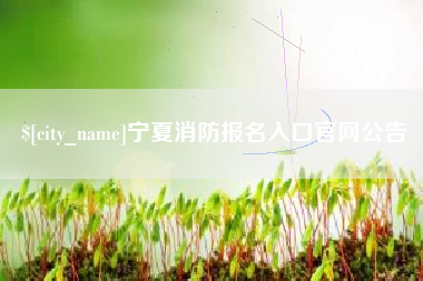 齐河宁夏消防报名入口官网公告