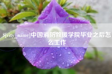 齐河中国消防救援学院毕业之后怎么工作
