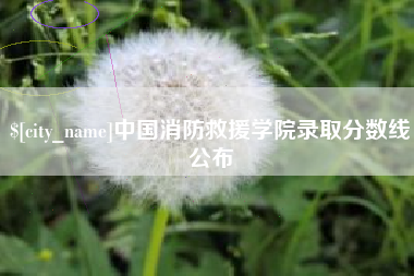齐河中国消防救援学院录取分数线公布