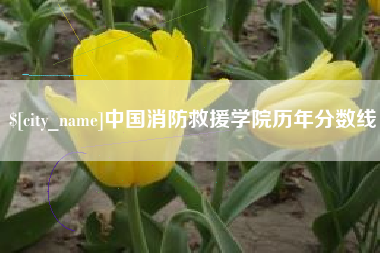 齐河中国消防救援学院历年分数线