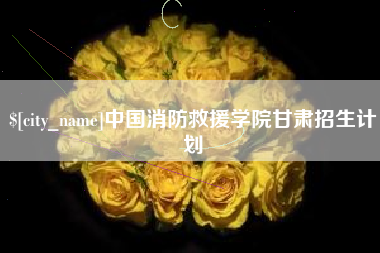 齐河中国消防救援学院甘肃招生计划