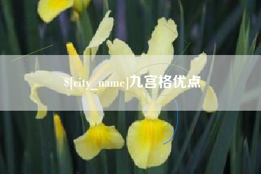 齐河九宫格优点