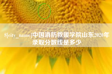 齐河中国消防救援学院山东2020年录取分数线是多少