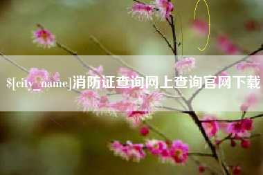 齐河消防证查询网上查询官网下载