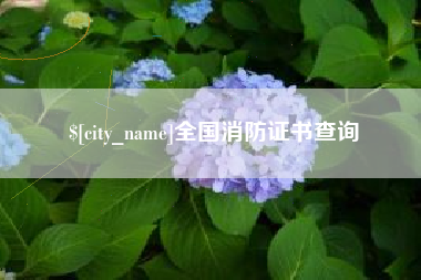 齐河全国消防证书查询