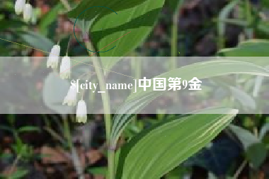 齐河中国第9金