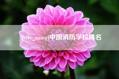 齐河中国消防学校排名