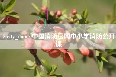 齐河中国消防官网中小学消防公开课