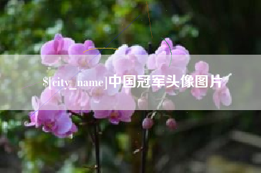 齐河中国冠军头像图片