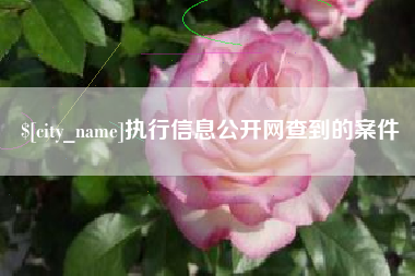 齐河执行信息公开网查到的案件