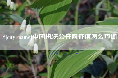齐河中国执法公开网征信怎么查询
