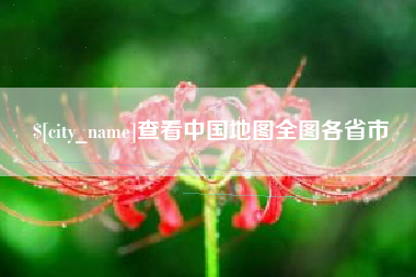 齐河查看中国地图全图各省市