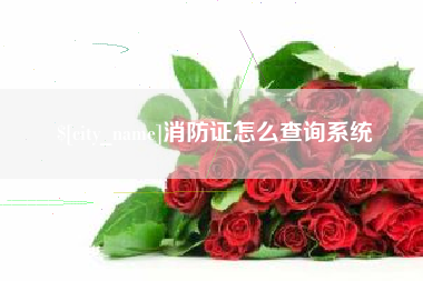 齐河消防证怎么查询系统