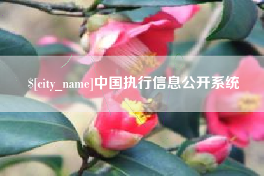 齐河中国执行信息公开系统