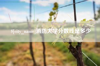 齐河消防大学分数线是多少