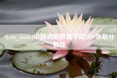 齐河中国消防救援学院2019录取分数线