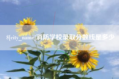 齐河消防学校录取分数线是多少