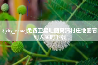 齐河免费卫星地图高清村庄地图看到人实时下载