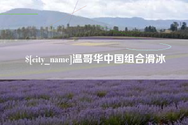 齐河温哥华中国组合滑冰