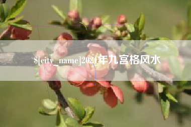 齐河2021年九宫格风水