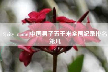齐河中国男子五千米全国纪录排名第几