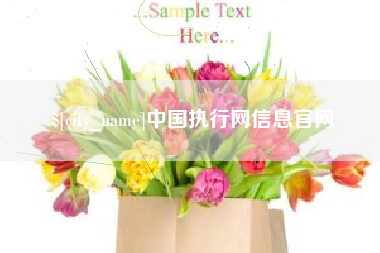 齐河中国执行网信息官网