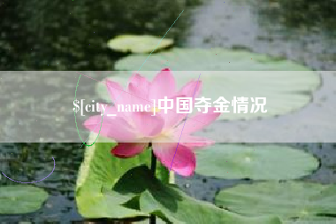 齐河中国夺金情况
