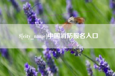 齐河中国消防报名入口