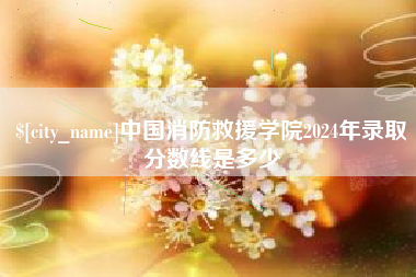 齐河中国消防救援学院2024年录取分数线是多少