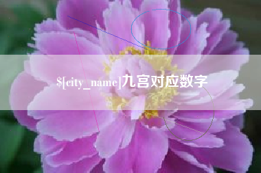 齐河九宫对应数字