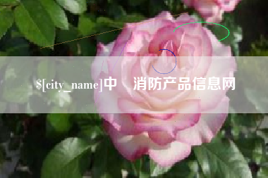 齐河中囯消防产品信息网