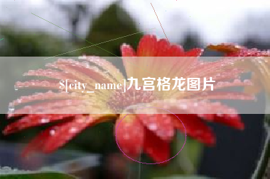 齐河九宫格龙图片