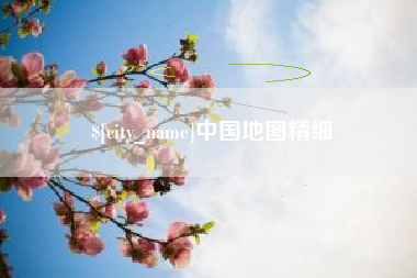 齐河中国地图精细