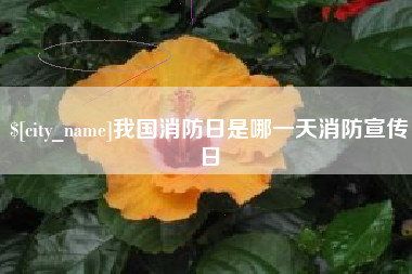 齐河我国消防日是哪一天消防宣传日