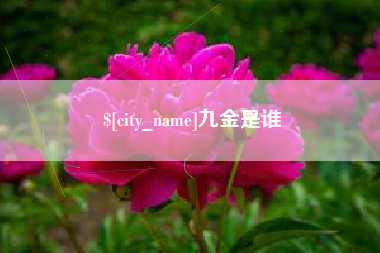 齐河九金是谁