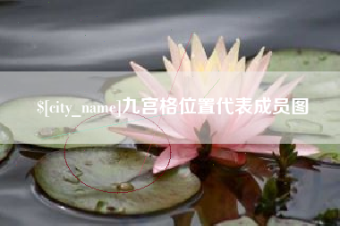 齐河九宫格位置代表成员图