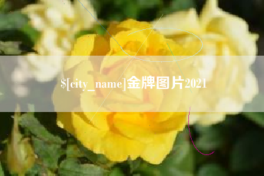 齐河金牌图片2021
