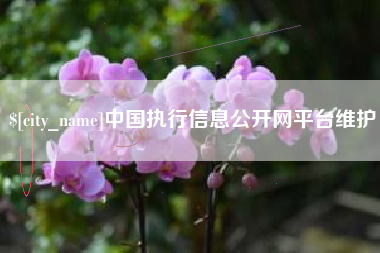 齐河中国执行信息公开网平台维护