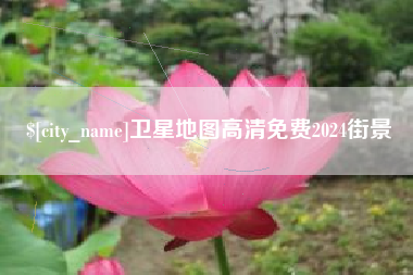 齐河卫星地图高清免费2024街景