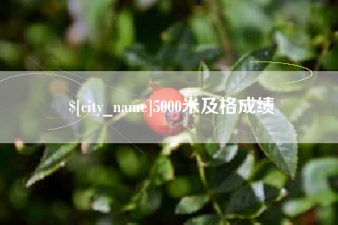 齐河5000米及格成绩