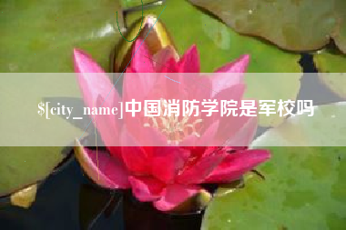 齐河中国消防学院是军校吗