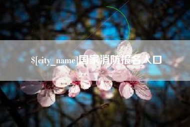 齐河国家消防报名入口