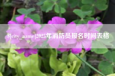 齐河2025年消防员报名时间表格