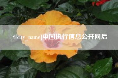 齐河中国执行信息公开网后