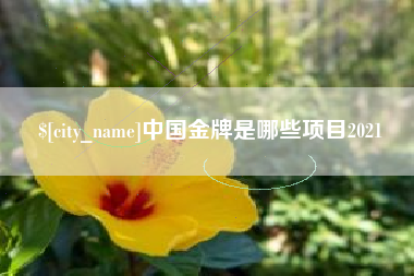 齐河中国金牌是哪些项目2021