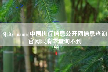 齐河中国执行信息公开网信息查询官网限消中查询不到