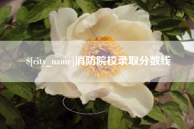 齐河消防院校录取分数线