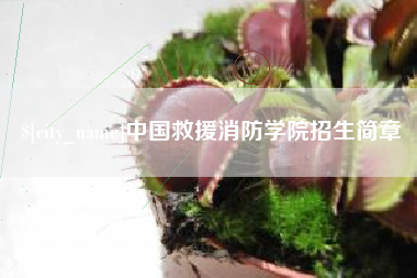 齐河中国救援消防学院招生简章