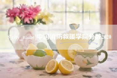 齐河中国消防救援学院分数2020
